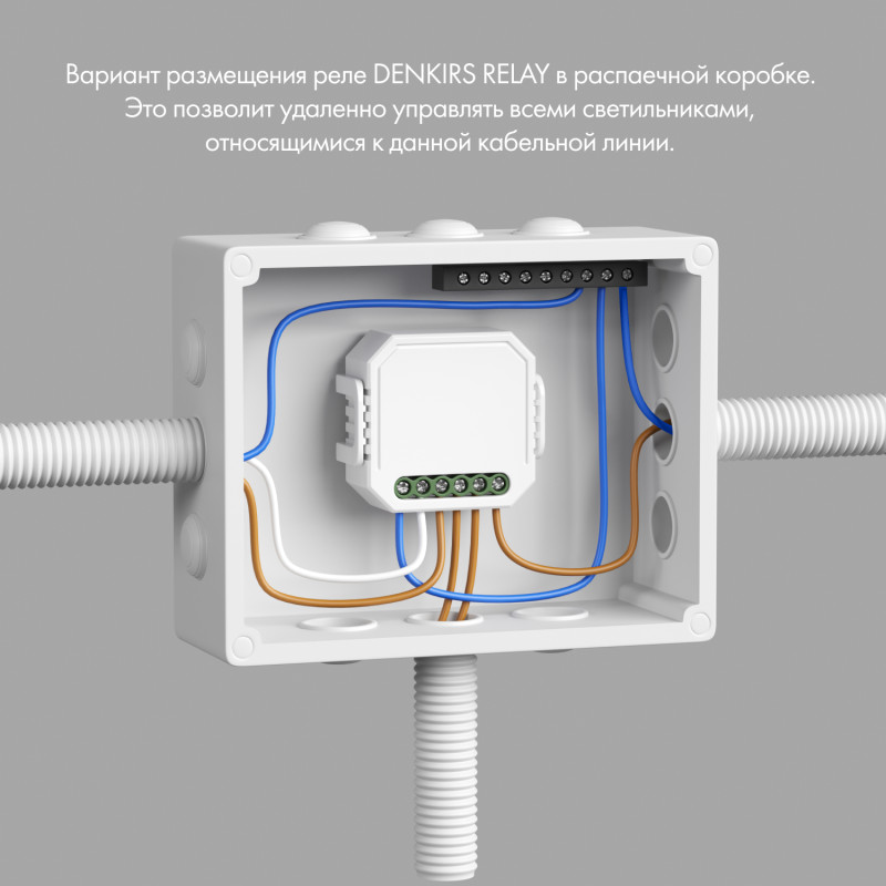 Wi-Fi реле Denkirs RL1004-DM/1