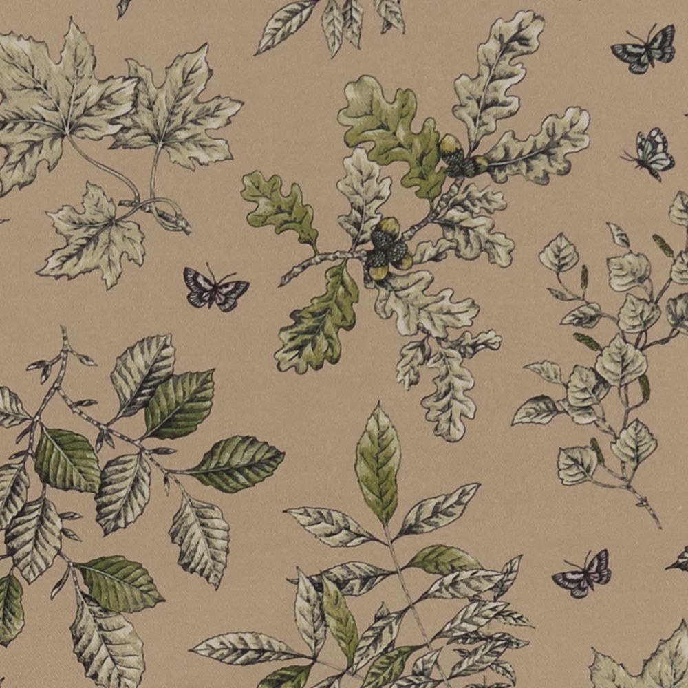 Текстиль Clarke & Clarke Eden F1329/01