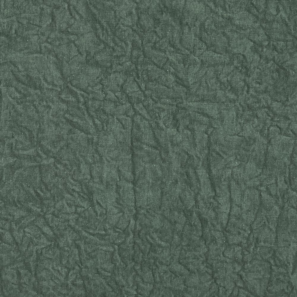 Текстиль Clarke & Clarke Botanist F1434/04