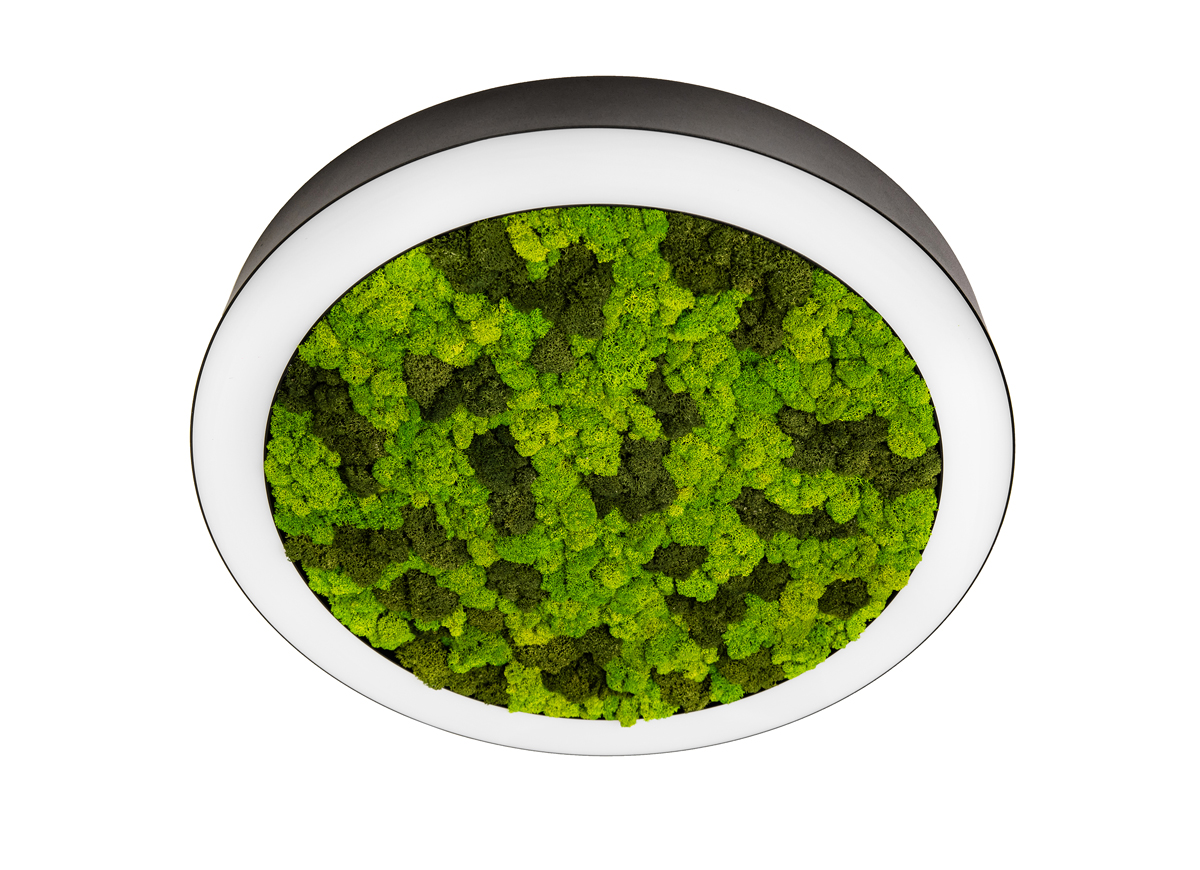 Накладной светодиодный светильник Donolux DL1000C90WW Moss Black
