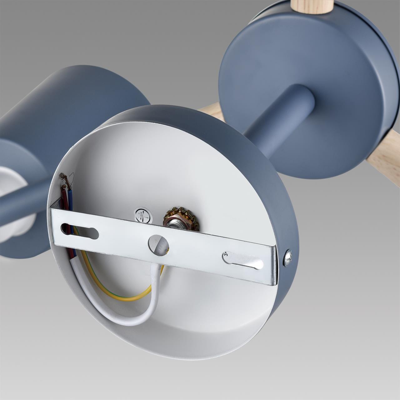 Люстра потолочная Lumion 8098/6C