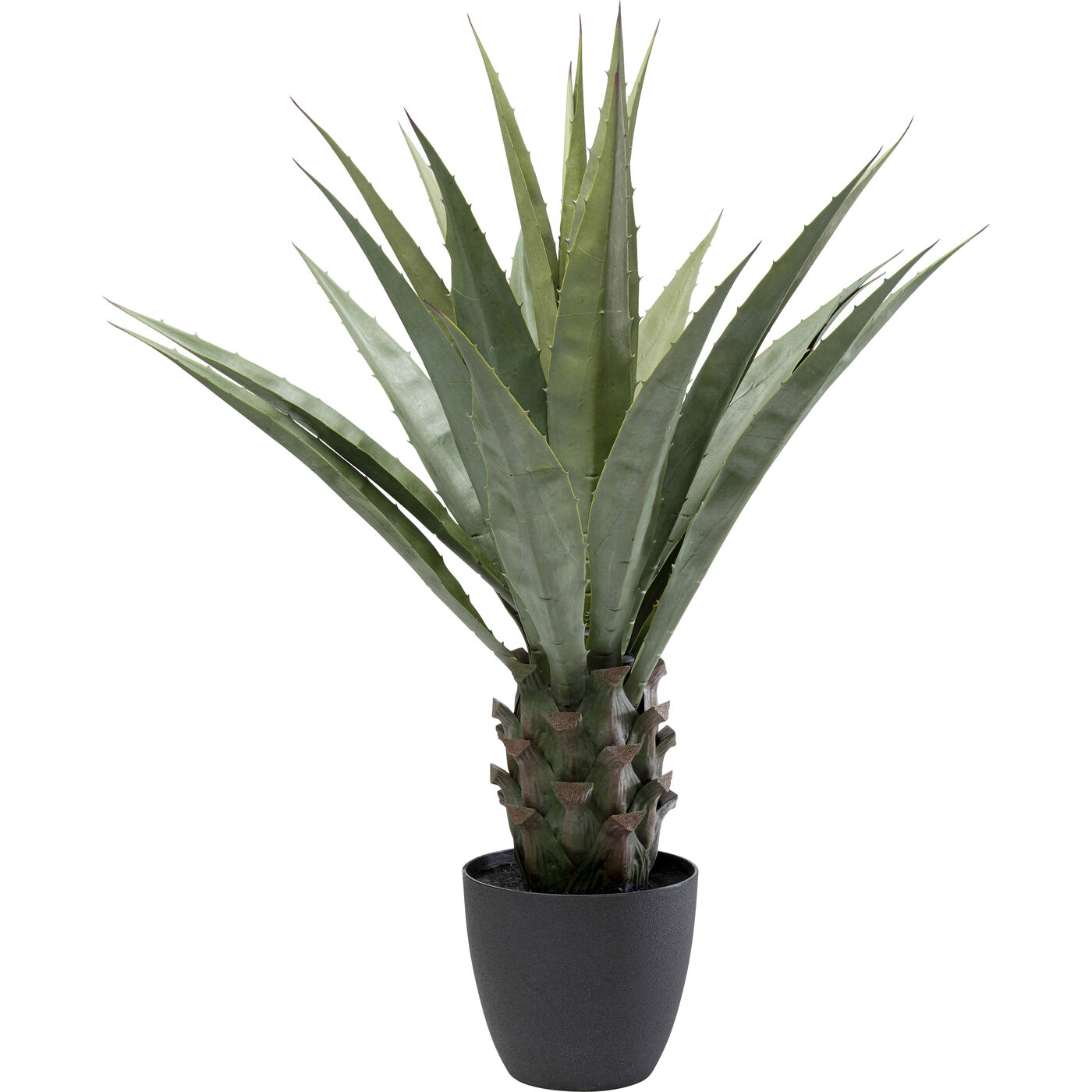 Растение декоративное Agave 85 см KARE 55915