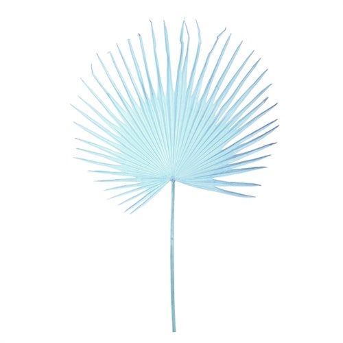 Искусственные цветы Pols Potten Fan palm leaf light blue