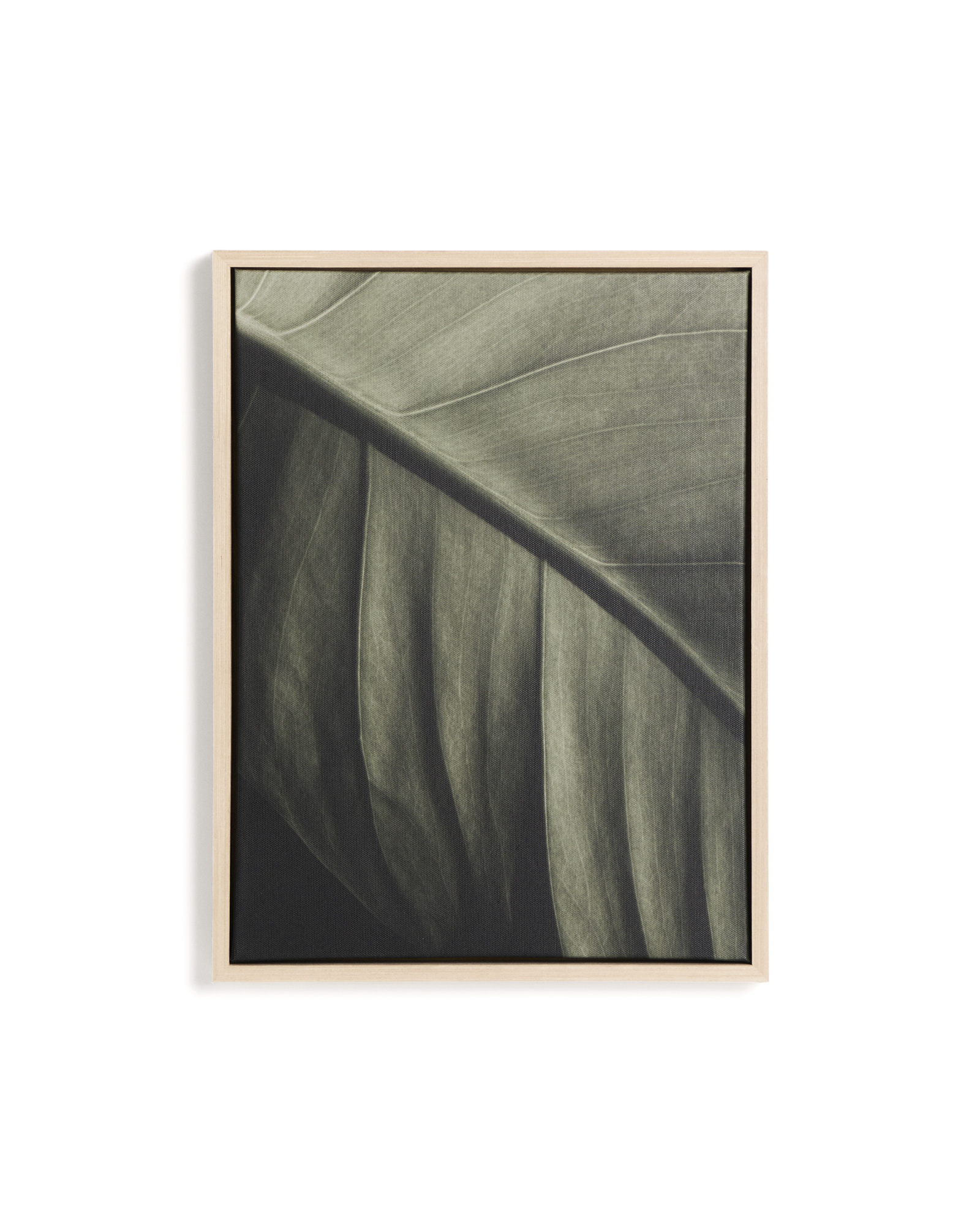 Фотография листа Foliae размер 32,5 x 42,5 см La Forma 481677