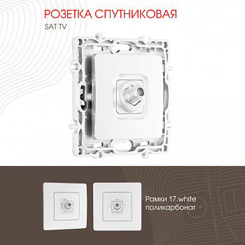Розетка Arte Milano 217.42-1.white