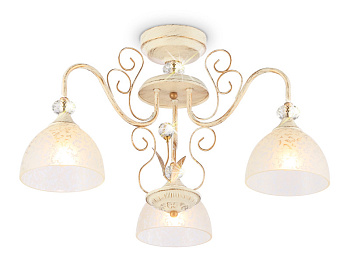 Накладной светильник Ambrella Light TR3055